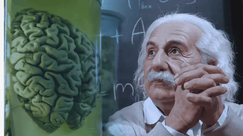 The Neuro Energizer Science Behind